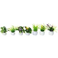 Healifty 7 Piezas de Casa de Muñecas Planta Bonsai Mini Planta en Maceta Modelo de Flor Pequeño Adorno de Vegetación…